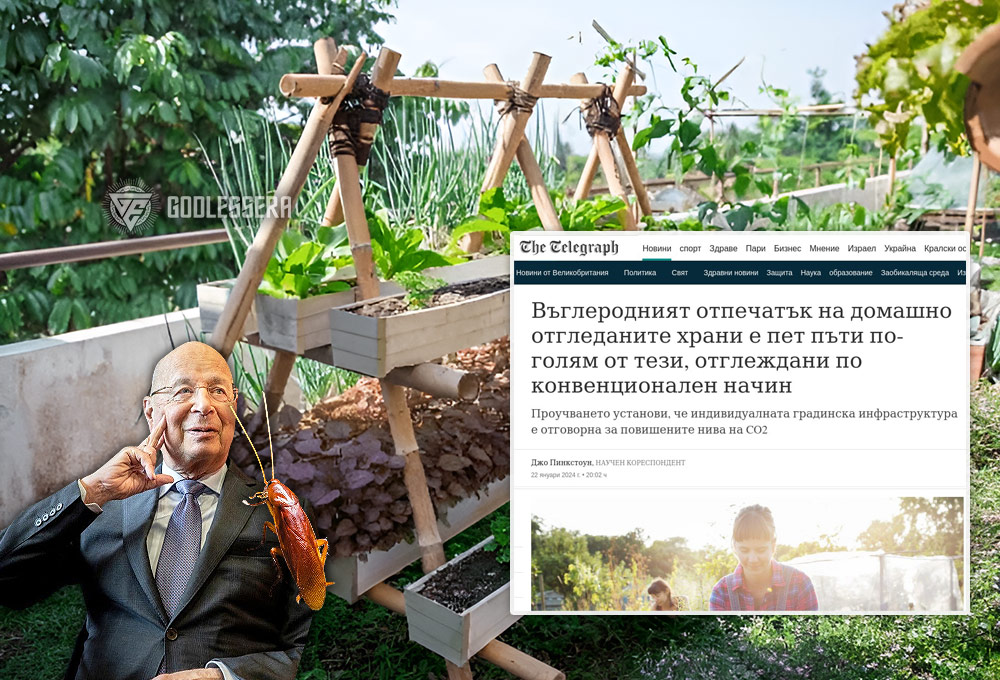 Забраняват домашната храна, за да ядем хлебарки, а хората мрат от мистериозен газ